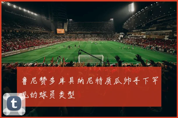 鲁尼赞多库具纳尼特质瓜帅手下罕见的球员类型
