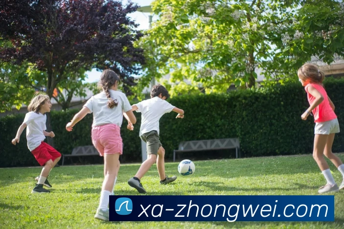 多媒体互动体验